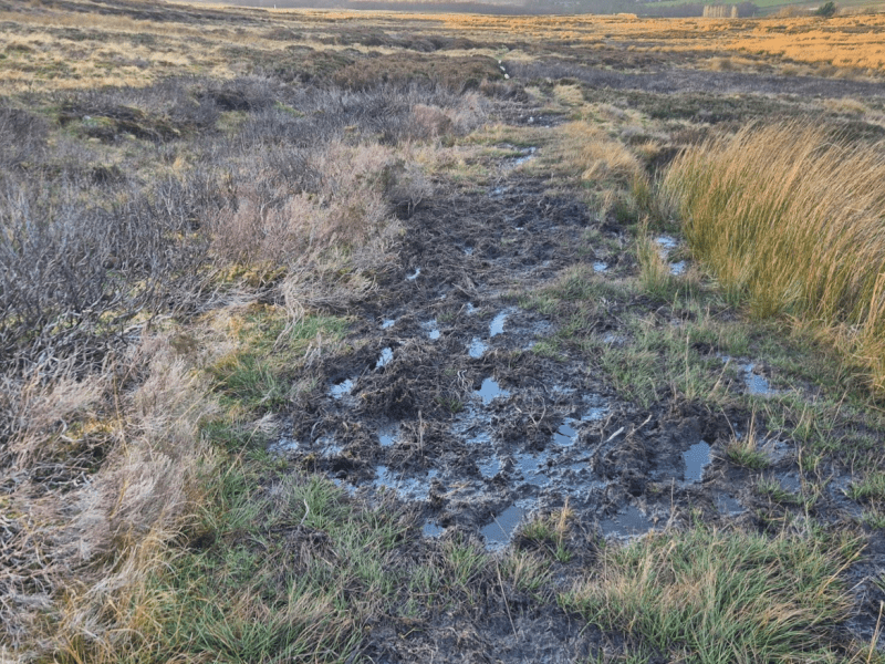 The Winter spine Race 2026 – Britain’s Most Brutal? (Part&nbsp;Five)